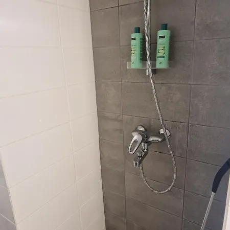 Moeysaen Omenatarha - Luksusta Keskellae Keskustaa Appartement Lahti